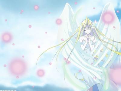 ange
